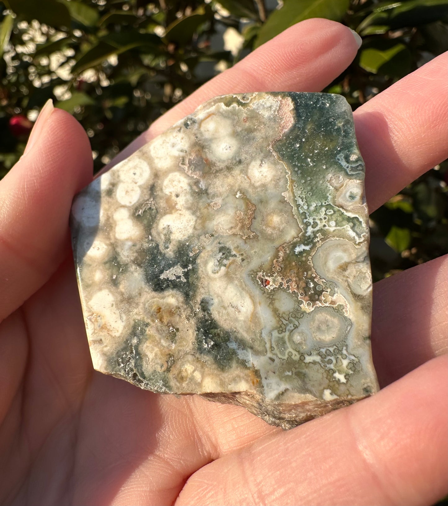 6th Vein Ocean Jasper Polished Freeform #5