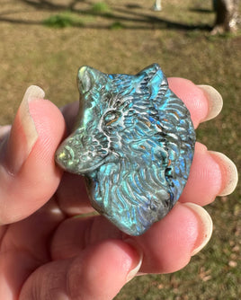 Carved Wolf Labradorite with Case