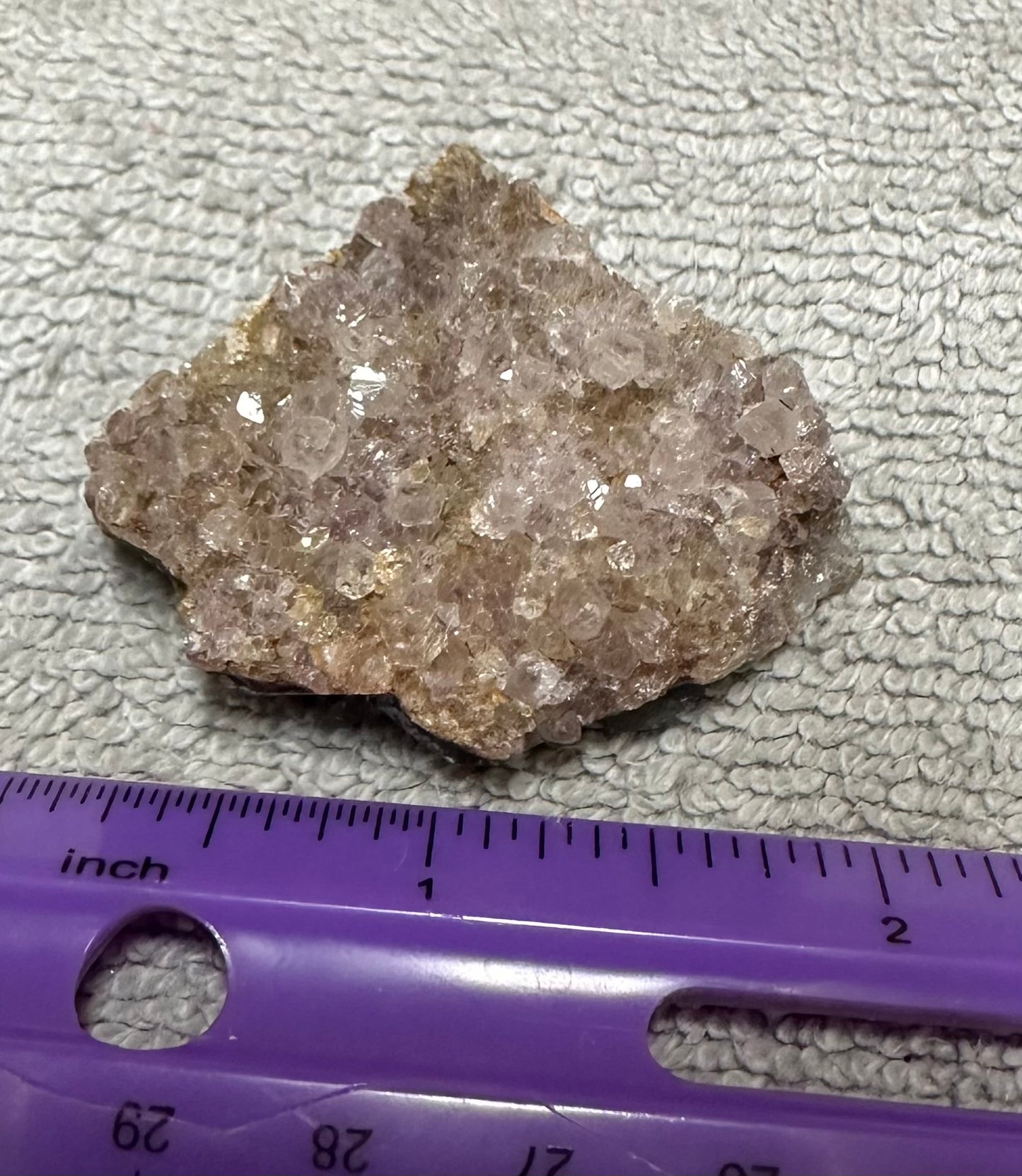 Amethyst Cluster Specimen #5