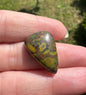 Rainforest Jasper (Rhyolite) Cabochon #16