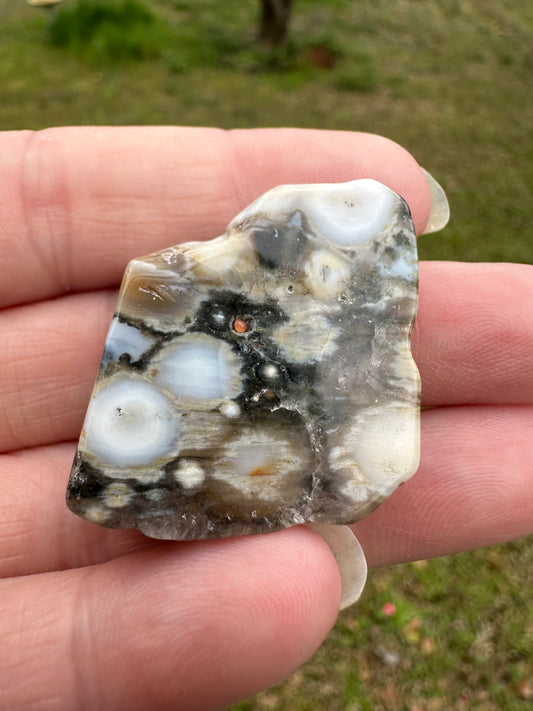 6th Vein Ocean Jasper Polished Freeform #32