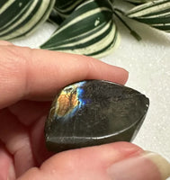 Labradorite Leaf Carving