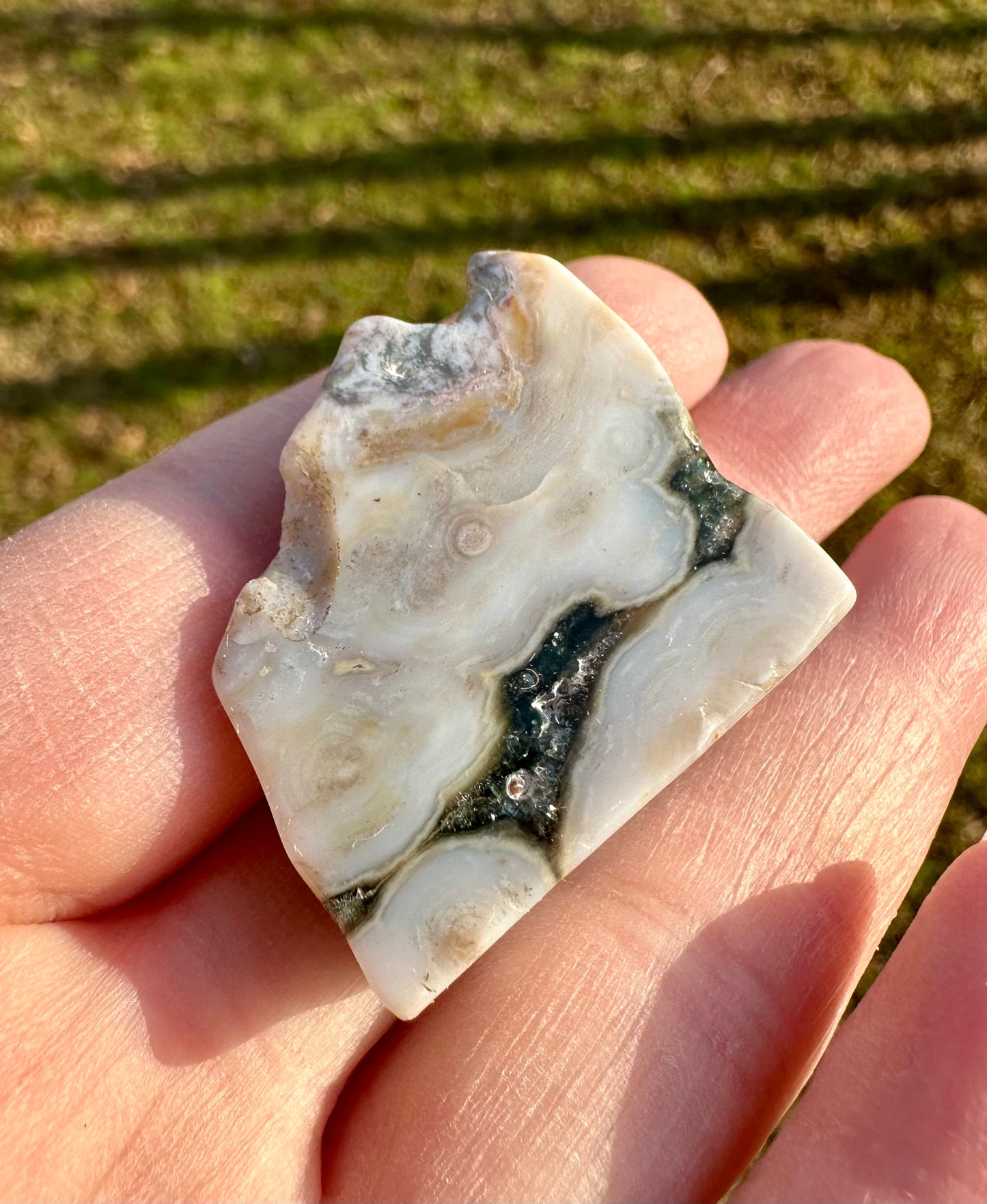 6th Vein Ocean Jasper Polished Freeform #10