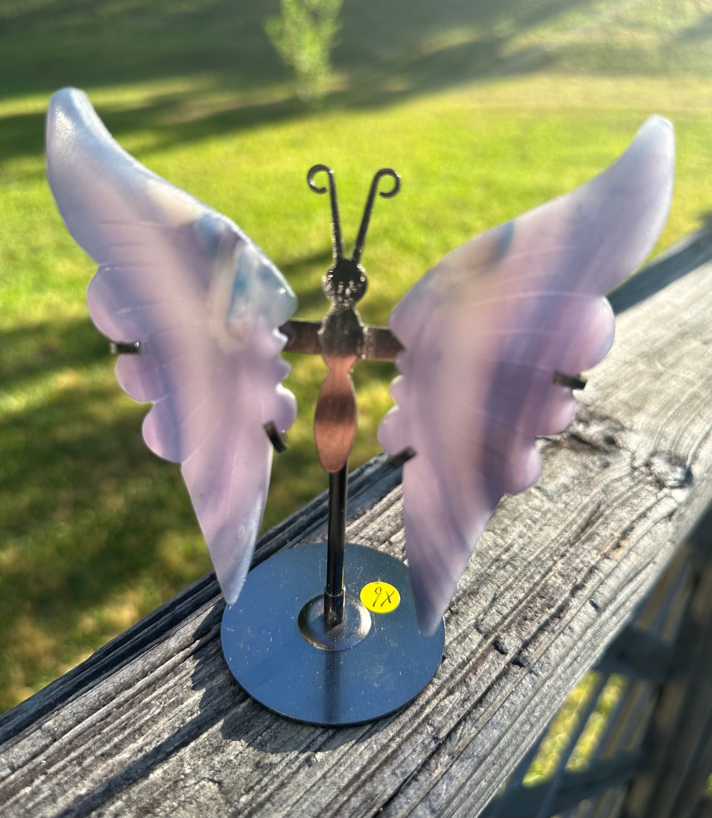 Fluorite Butterfly Wings & Stand #4