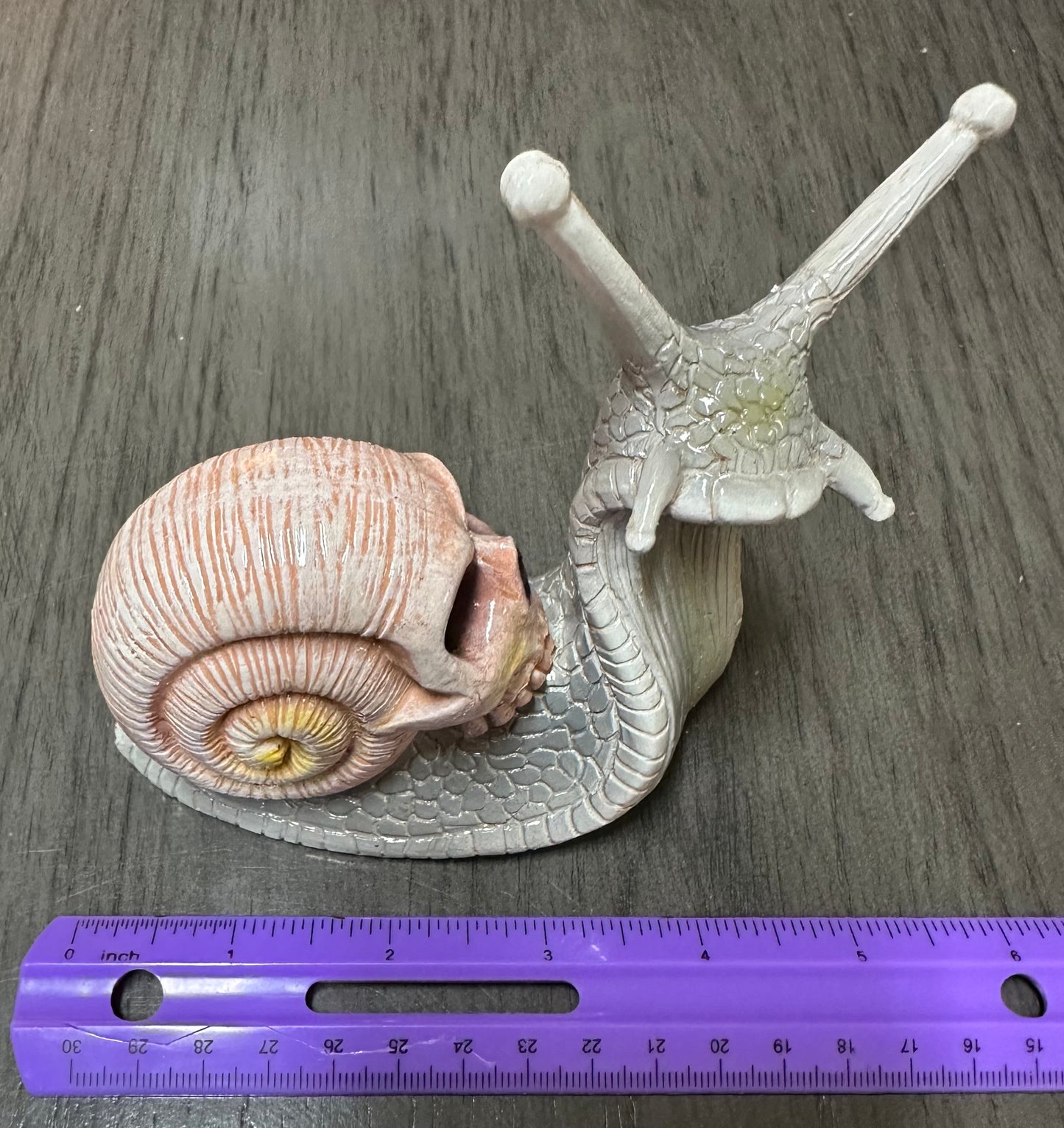 Grey & Pink Snail with Skull