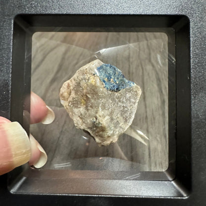 Lazulite Specimen from Graves Mountain Ga in Case