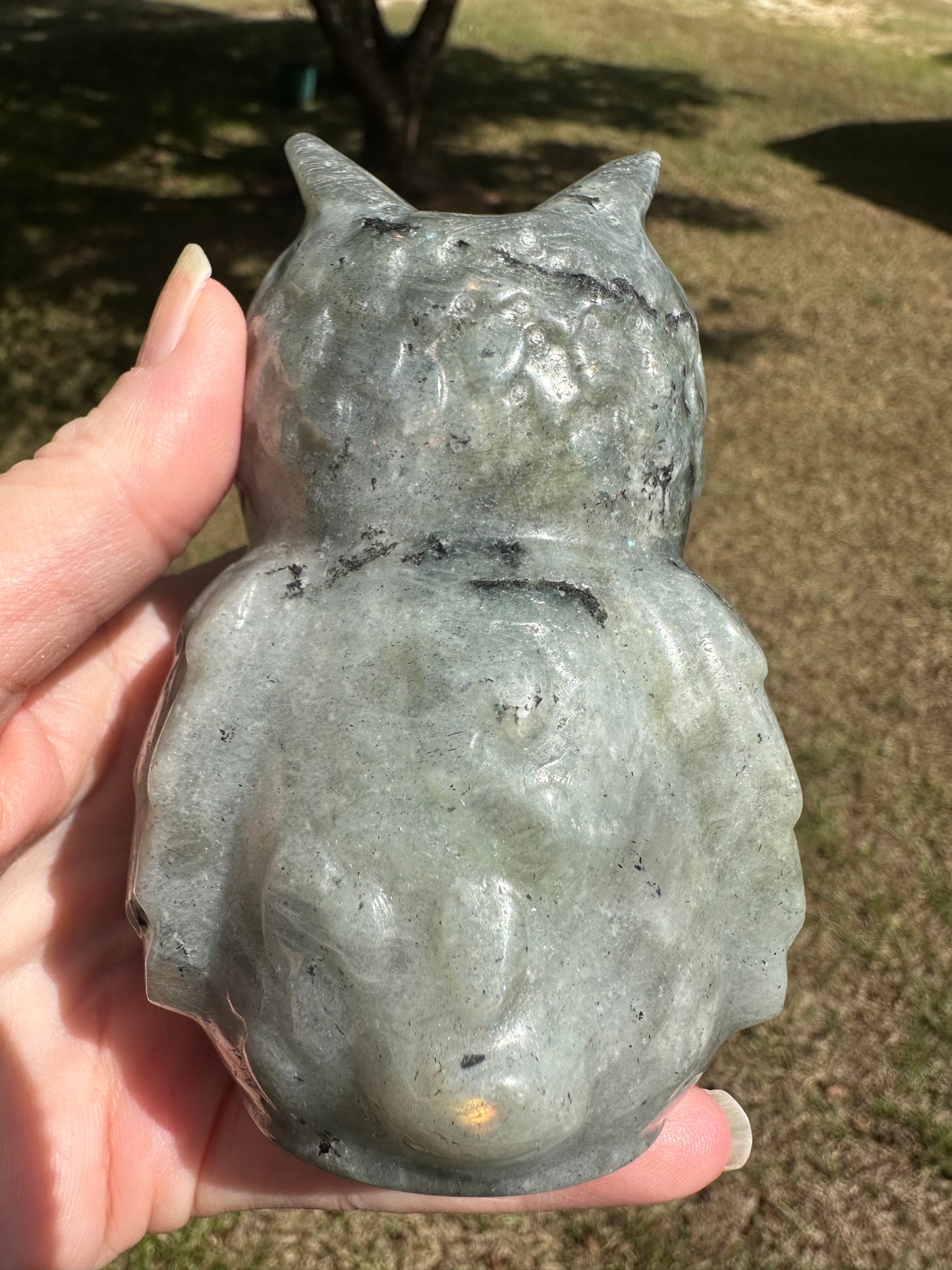 Large Labradorite Owl Carving