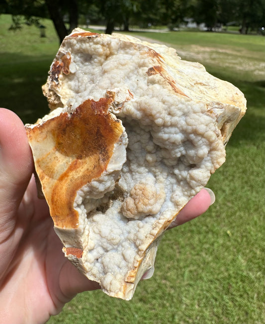 Savannah River Agate Specimen #33