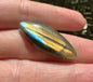 Marquise Labradorite Cabochon 59a