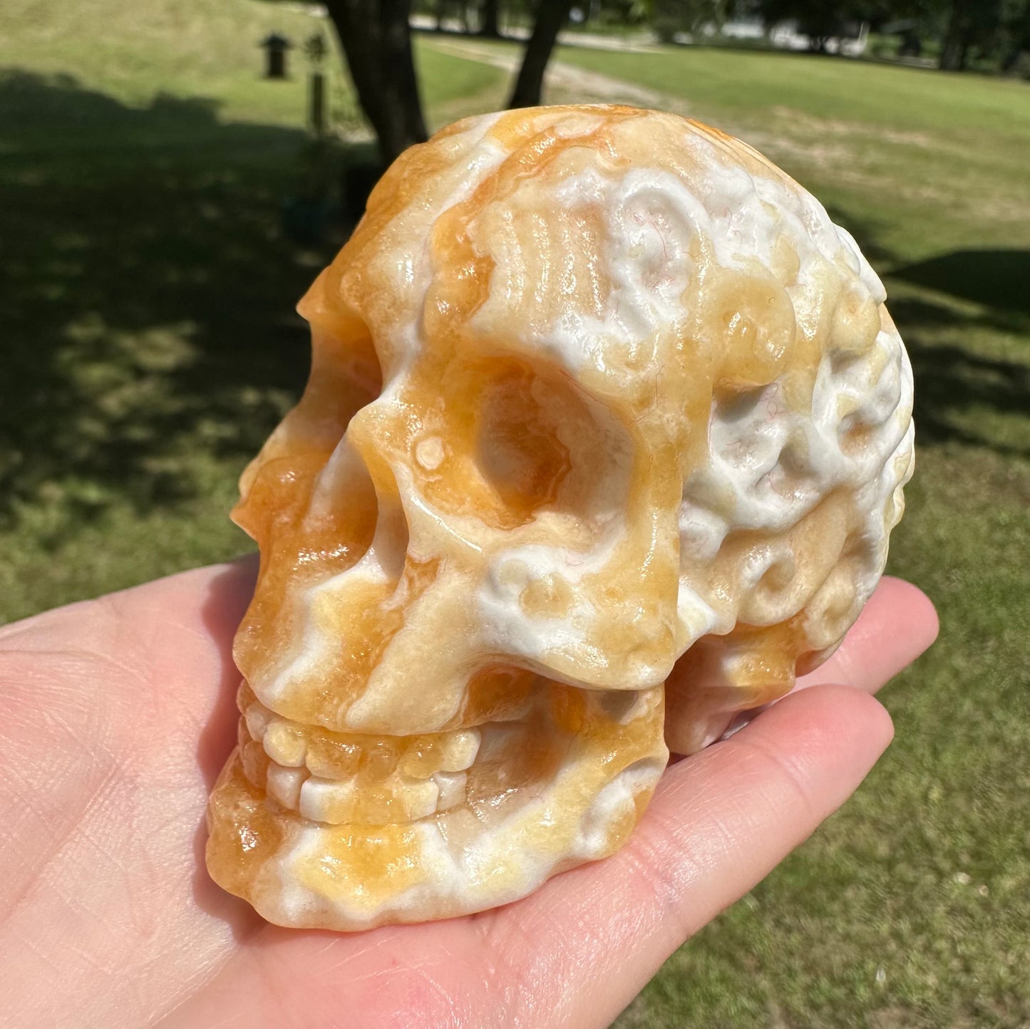 Yellow and White Mixed Calcite Skull