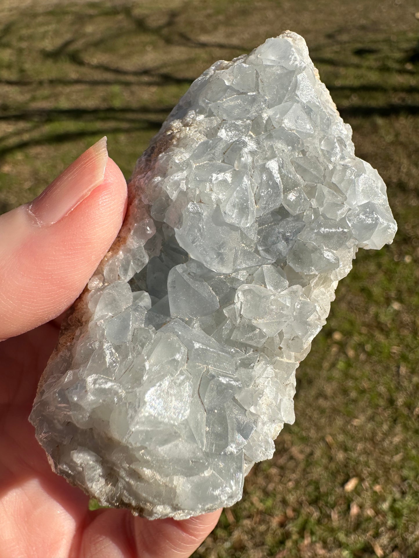 Celestite Cluster Specimen #4