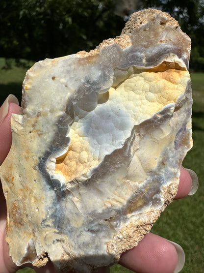 Savannah River Agate Specimen #29