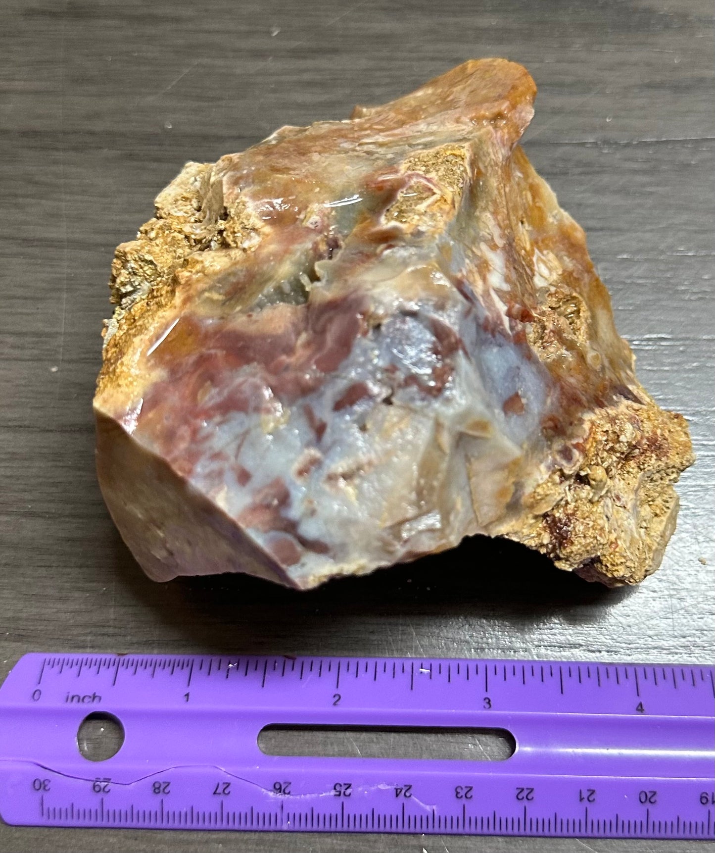 Savannah River Agate Specimen #52