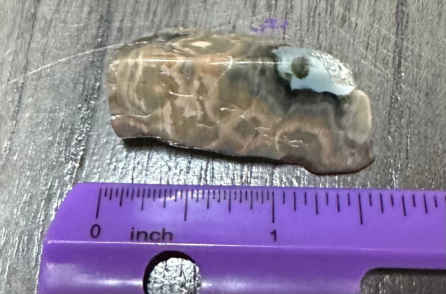 6th Vein Ocean Jasper Polished Freeform #39