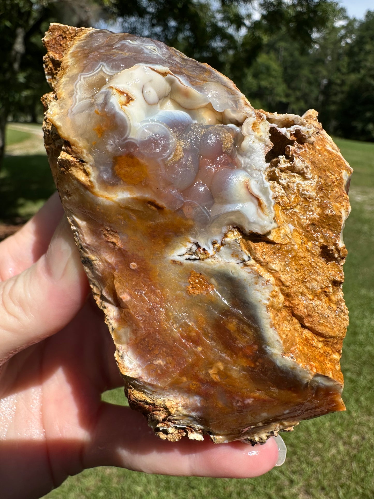 Savannah River Agate Specimen #51