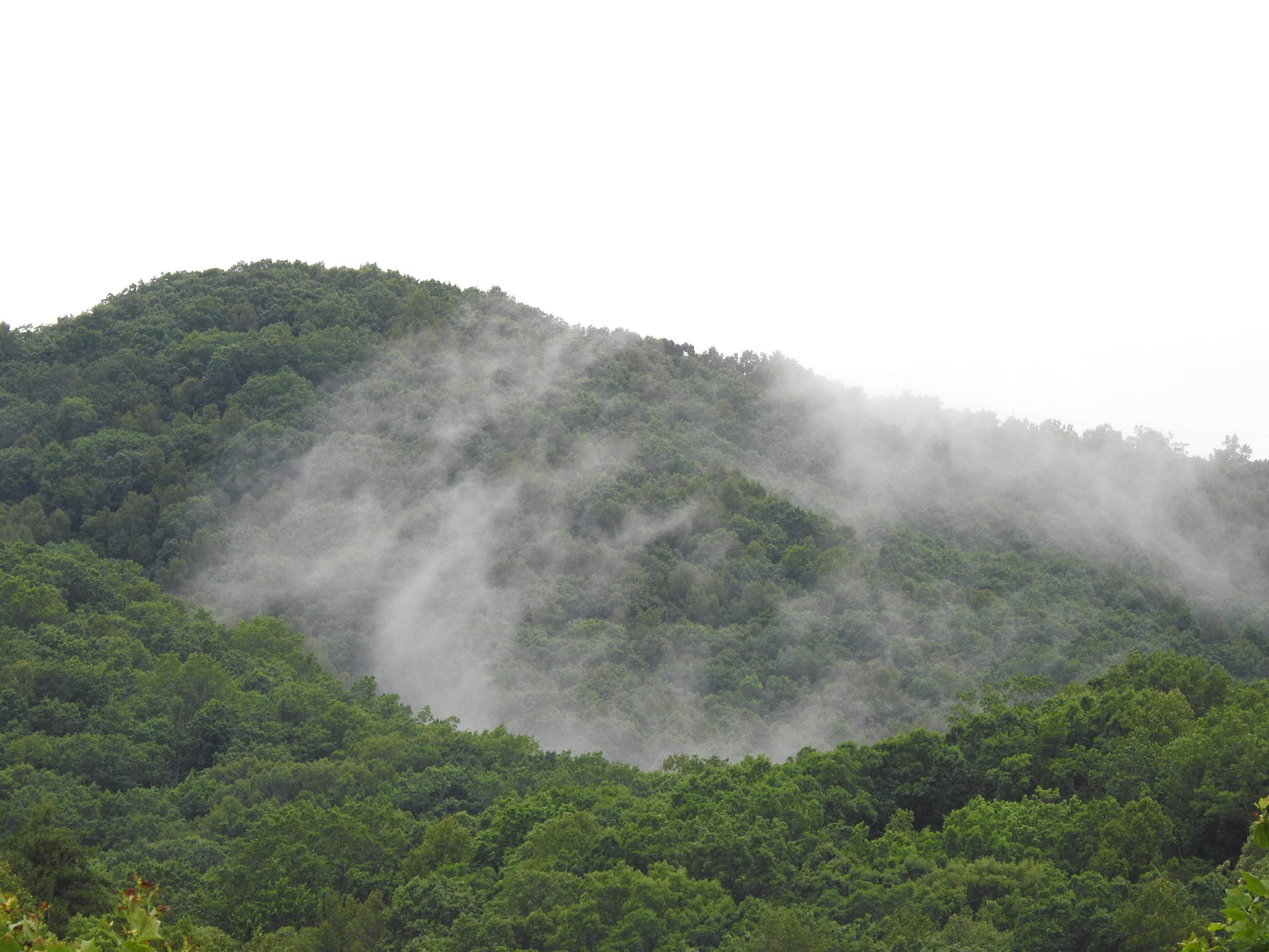 Foggy Mountain Side Digital Download