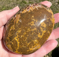 Large Ocean Jasper Palm Stone