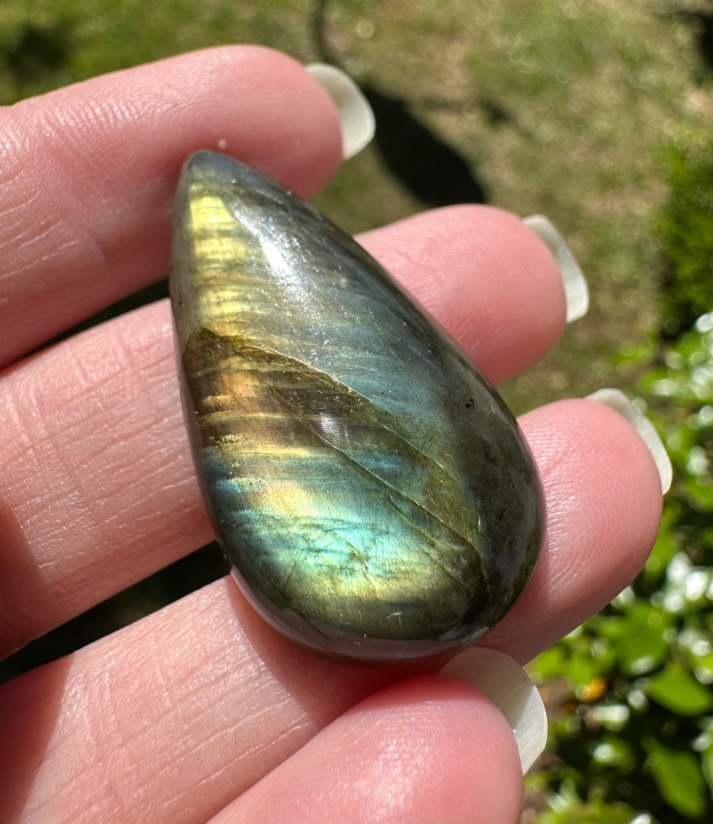 Pearshape Labradorite Cabochon 65a