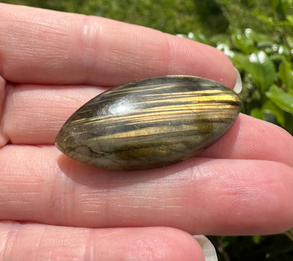 Marquise Labradorite Cabochon 12a