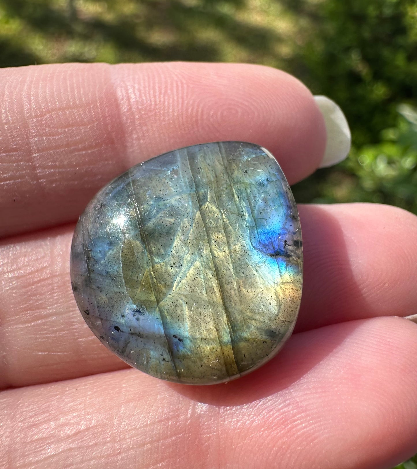 Pearshape Labradorite Cabochon 49a