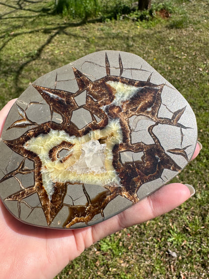 Septarian Nodule Calcite, Muddy Creek, Orderville, Kane Co. UT UV Reactive