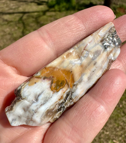 6th Vein Ocean Jasper Polished Freeform #18