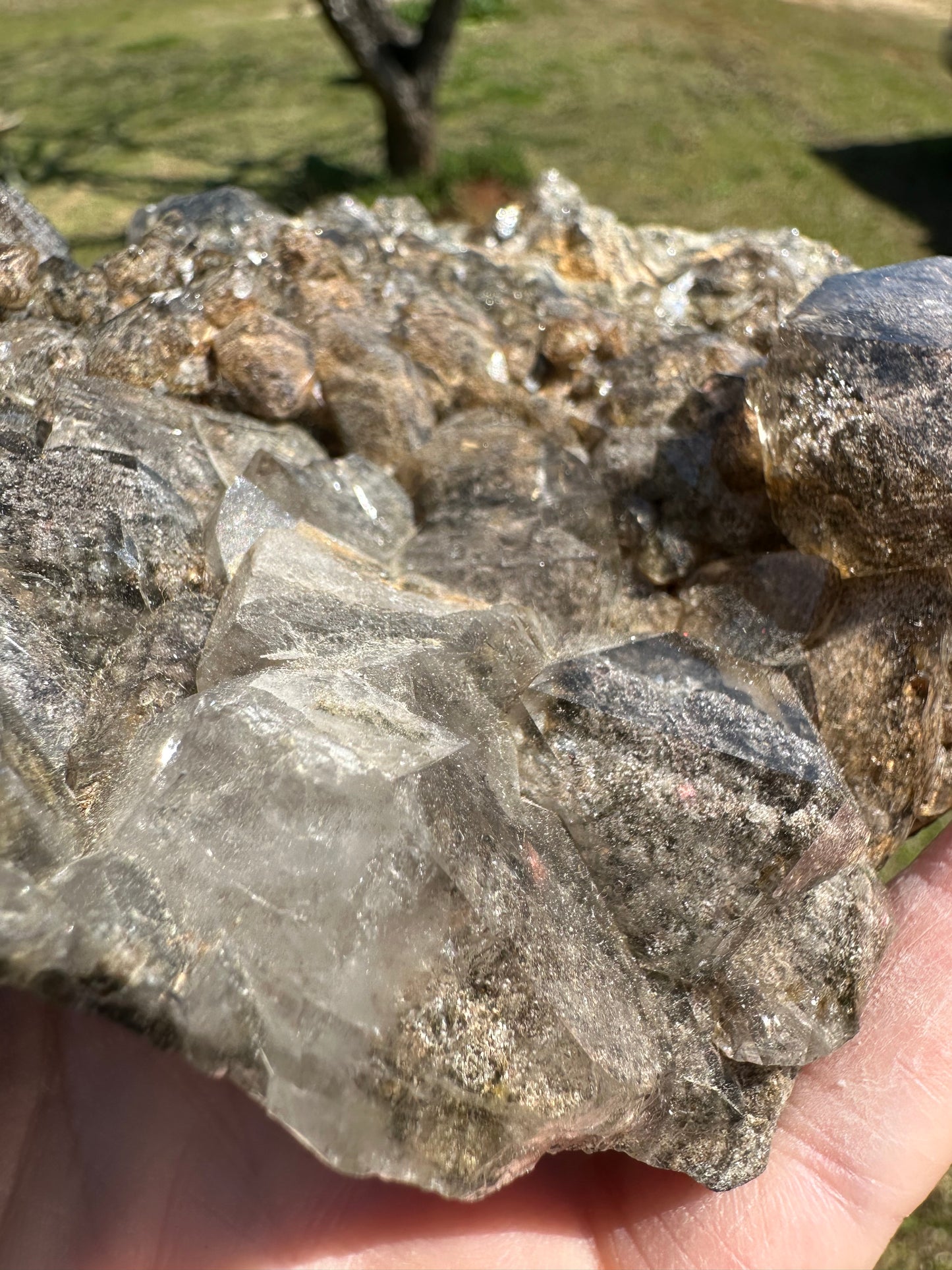 Quartz, Elestial Garden, Lodolite, Jacare, Brazil