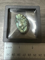 Carved Native American Labradorite with Case #2