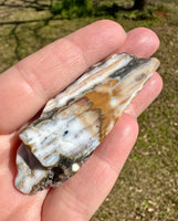 6th Vein Ocean Jasper Polished Freeform #18