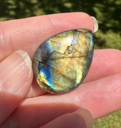 Pearshape Labradorite Cabochon 67a