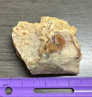 Savannah River Agate Specimen #27