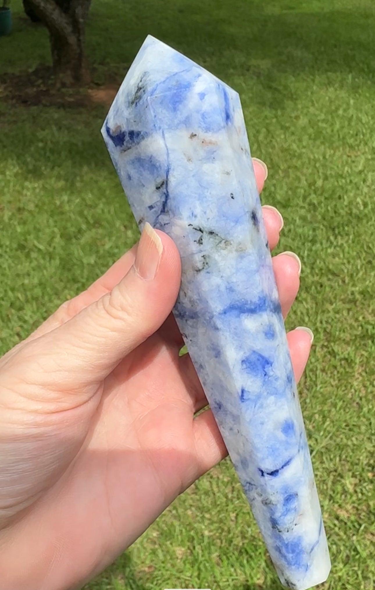 Large Sodalite Scepter #4