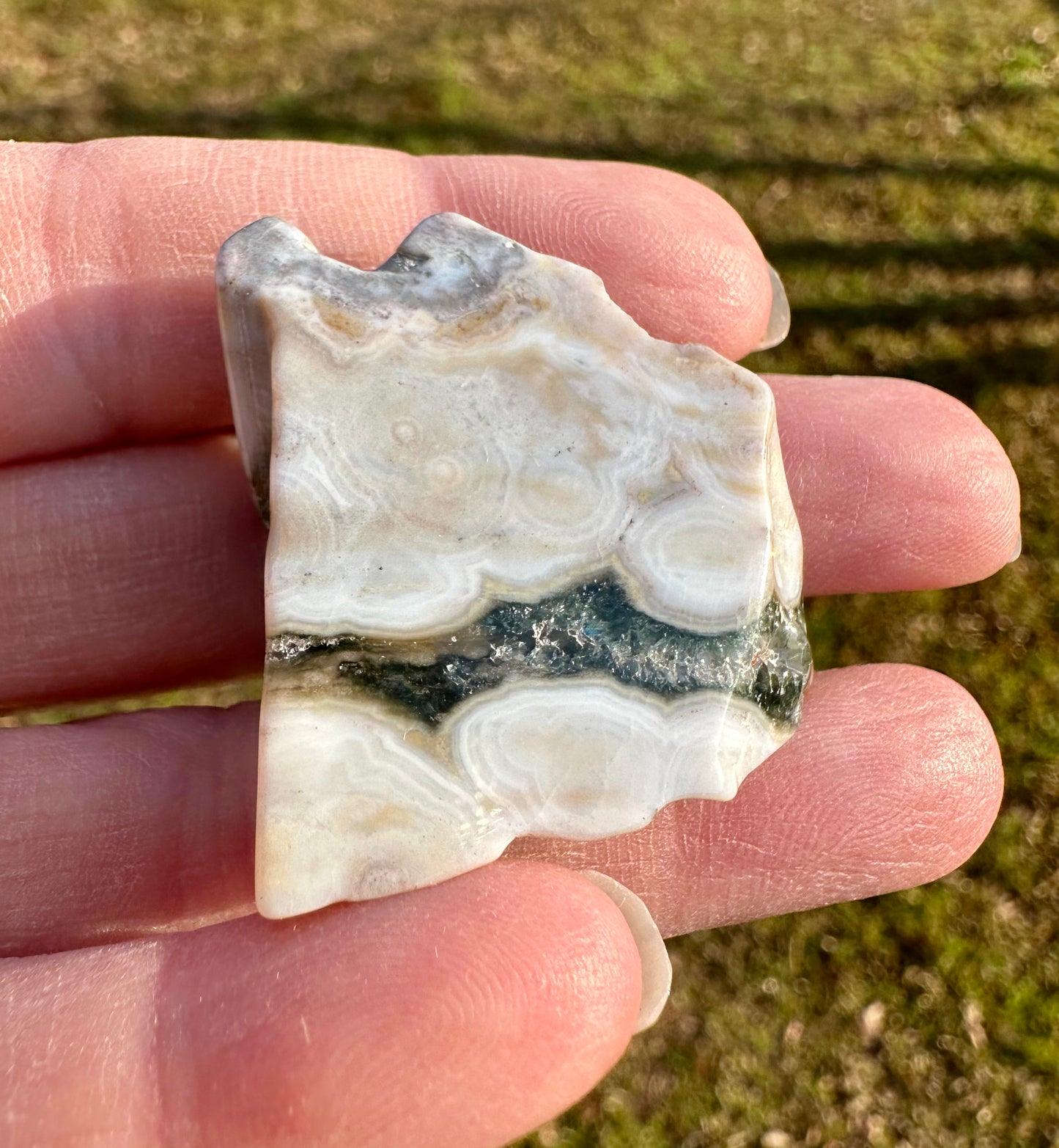 6th Vein Ocean Jasper Polished Freeform #10