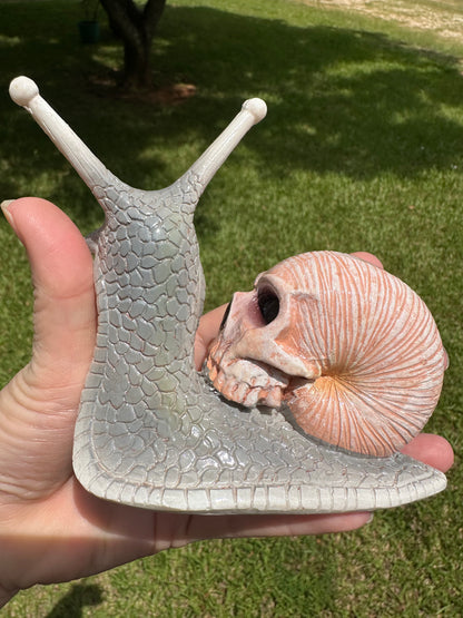 Grey & Pink Snail with Skull