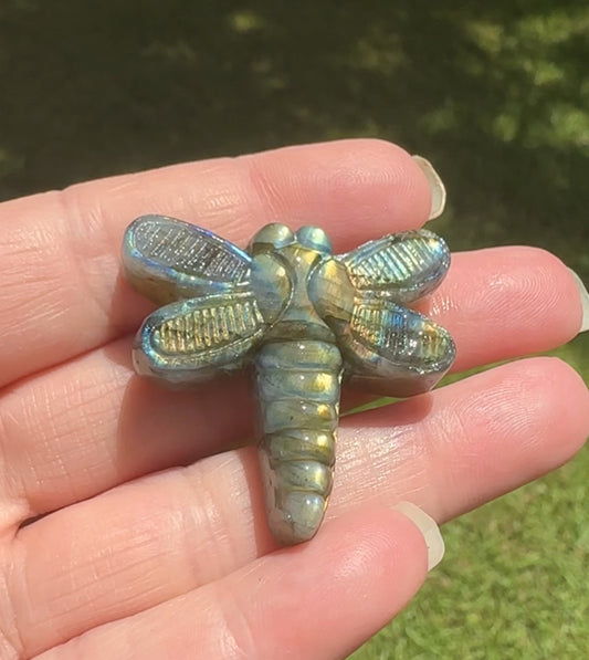 Labradorite Firefly With Case