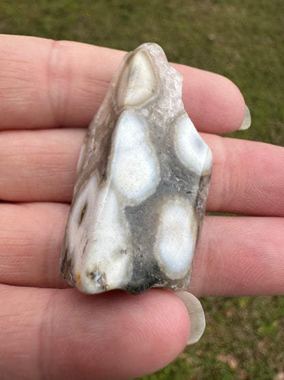 6th Vein Ocean Jasper Polished Freeform #35