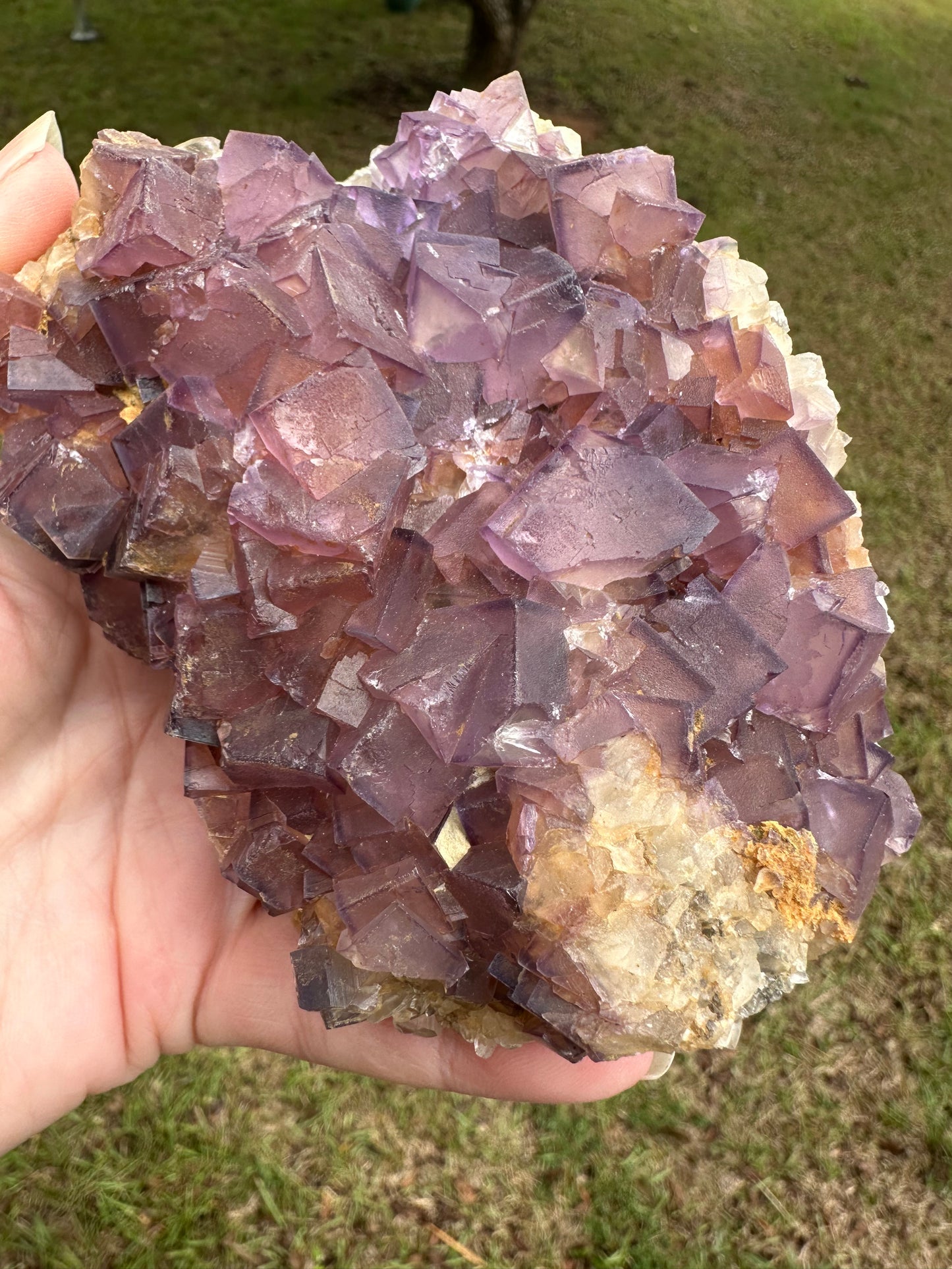 Cubic Purple Fluorite Specimen #5