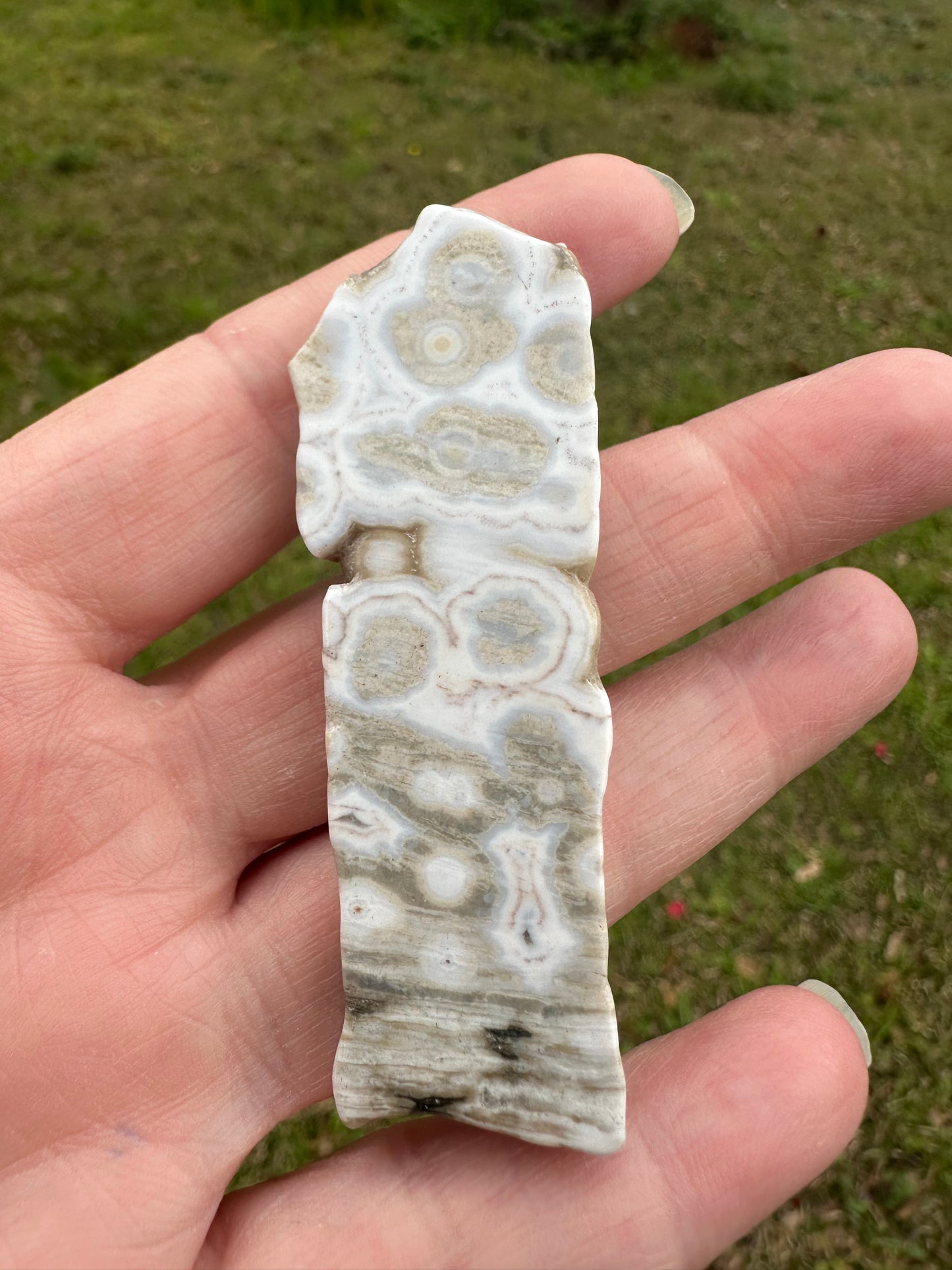 6th Vein Ocean Jasper Polished Freeform #43