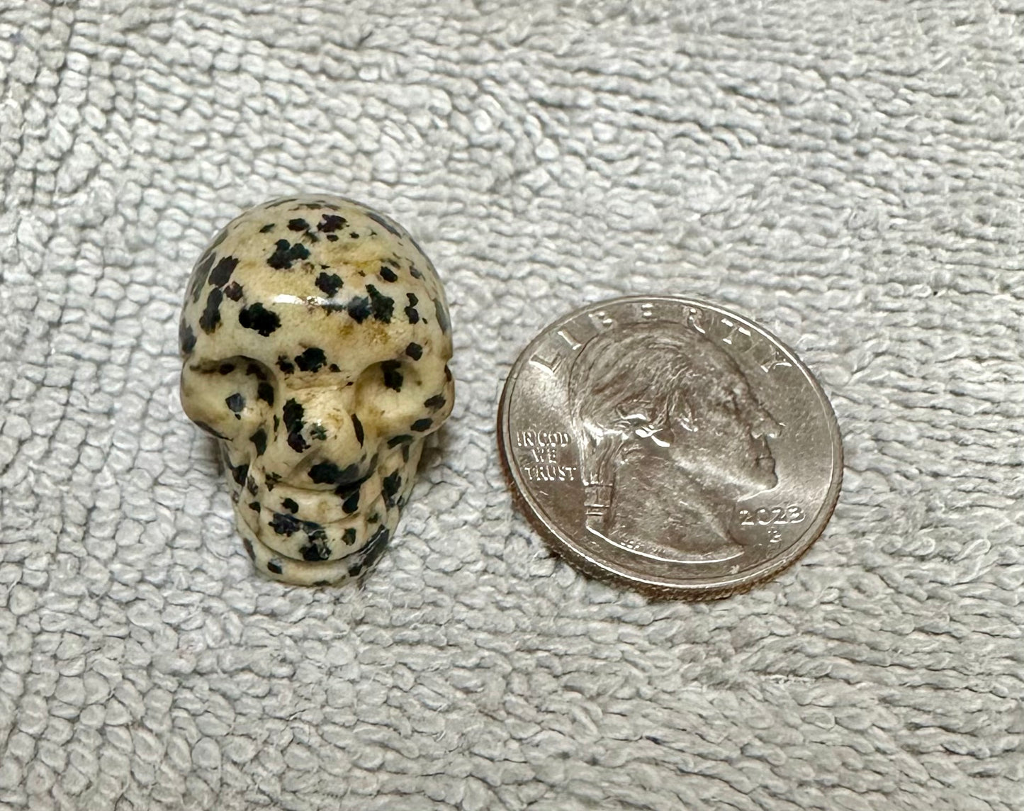 Dalmation Jasper Skull