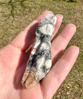 6th Vein Ocean Jasper Polished Freeform #19