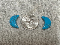 Blue Howlite Imitation Moon Pair