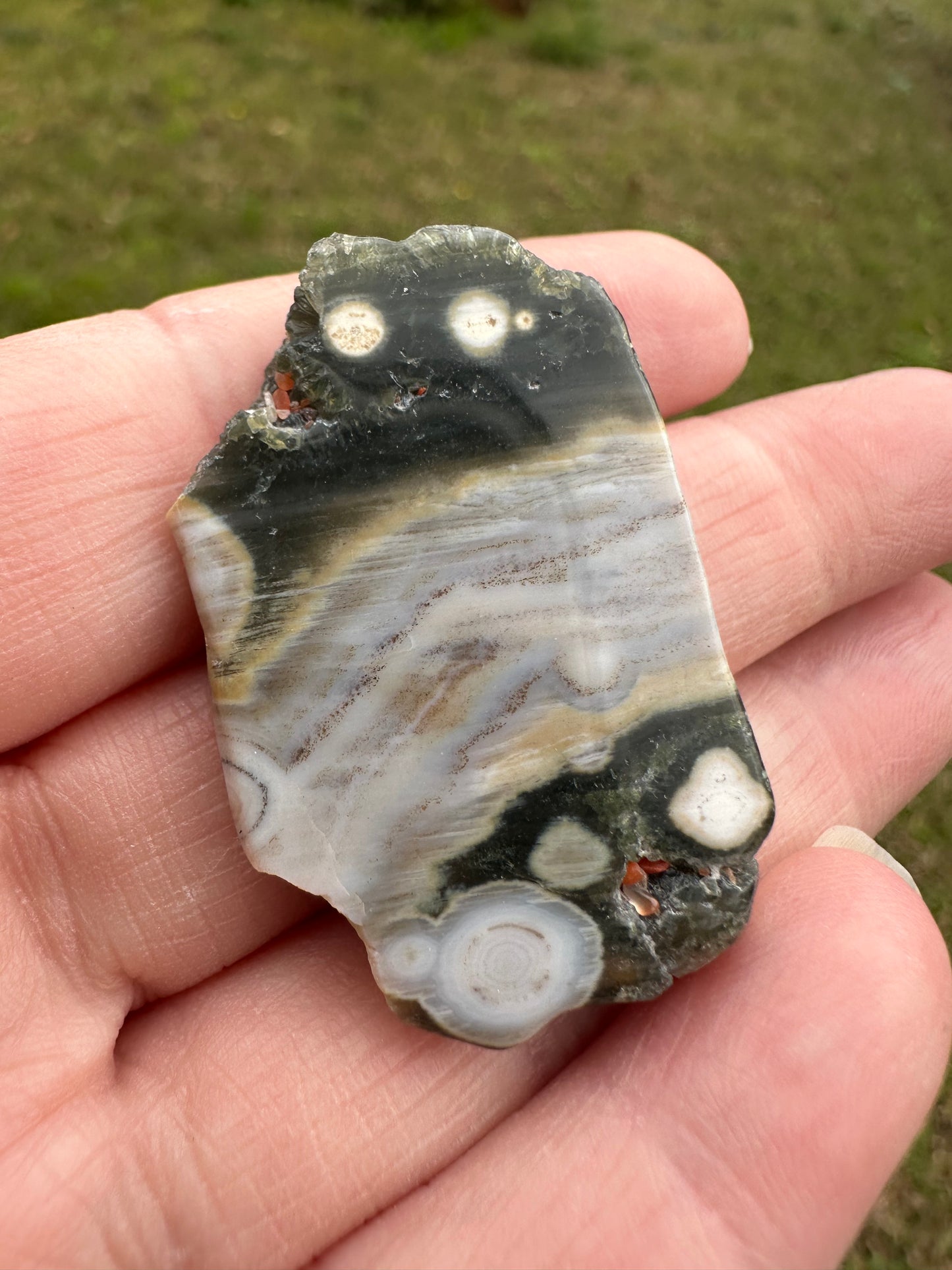 6th Vein Ocean Jasper Polished Freeform #44