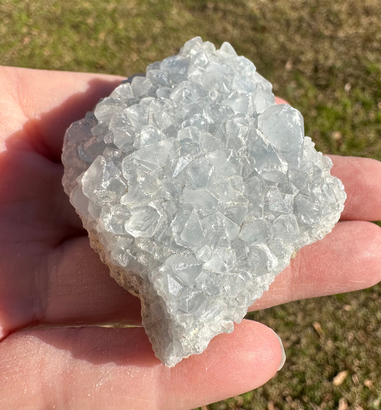 Celestite Cluster Specimen #2