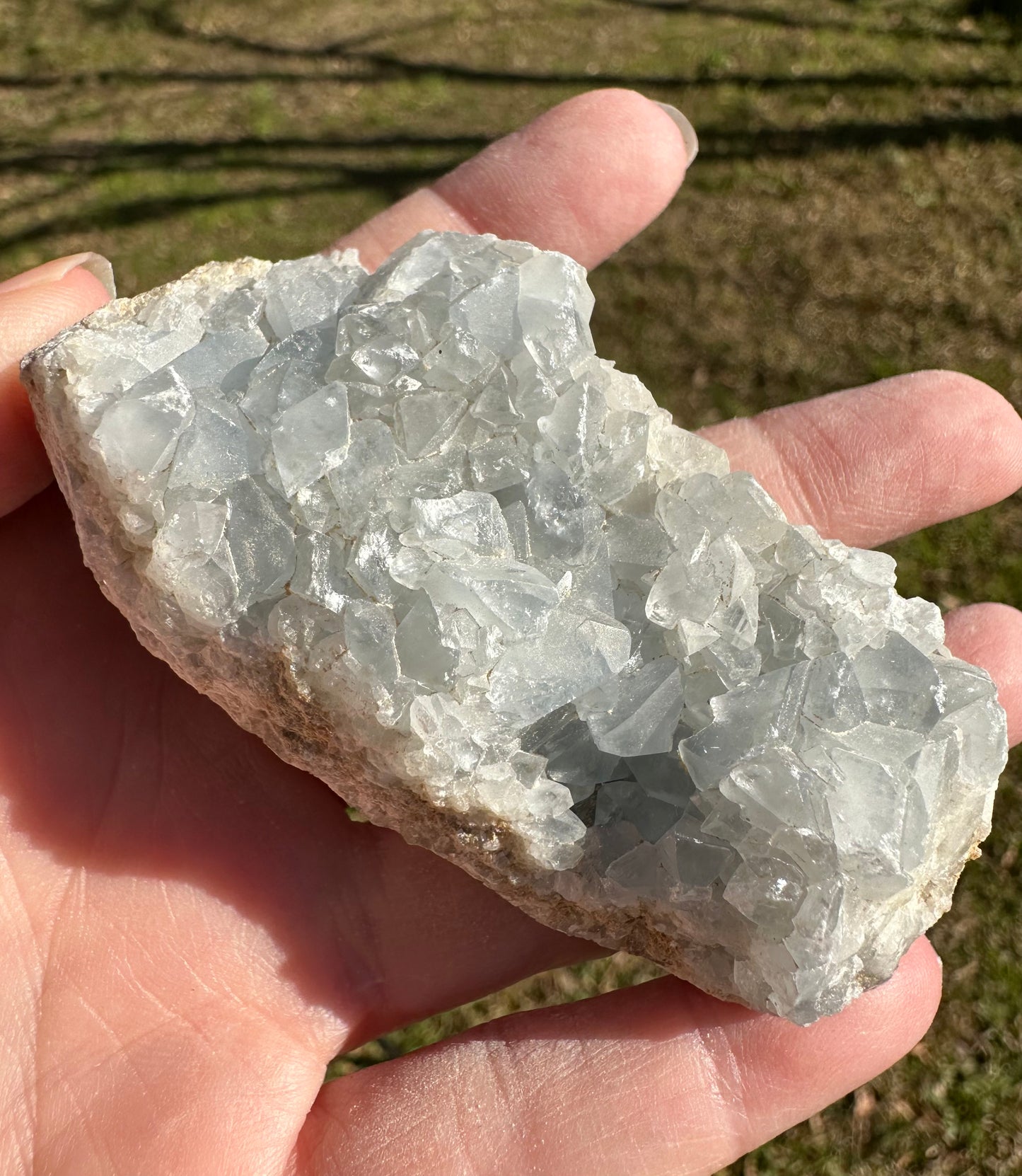 Celestite Cluster Specimen #4