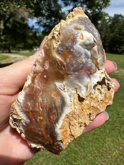 Savannah River Agate Specimen #51