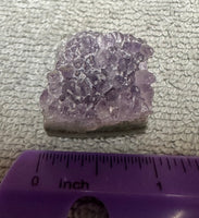 Amethyst Cluster Specimen #26