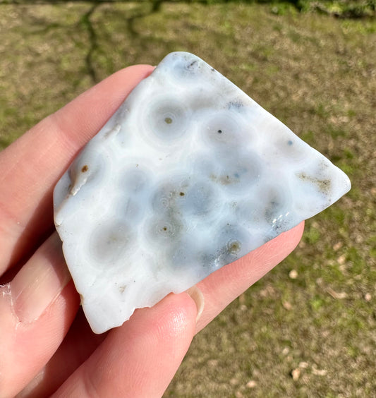 6th Vein Ocean Jasper Polished Freeform #17