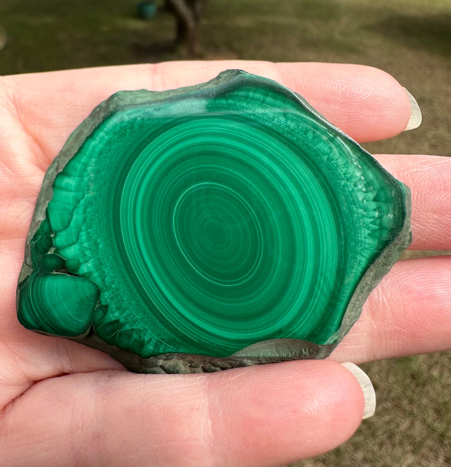 Exquisite Malachite Polished Slice