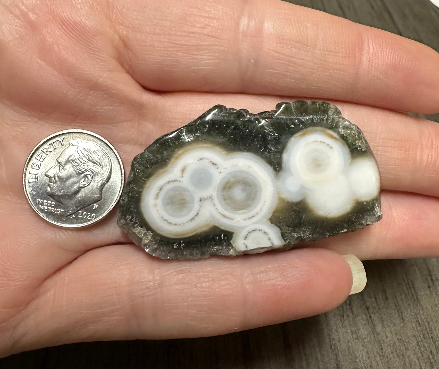 6th Vein Ocean Jasper Polished Freeform with Case