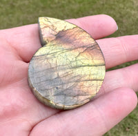 Labradorite Ammonite Carving with Case #2